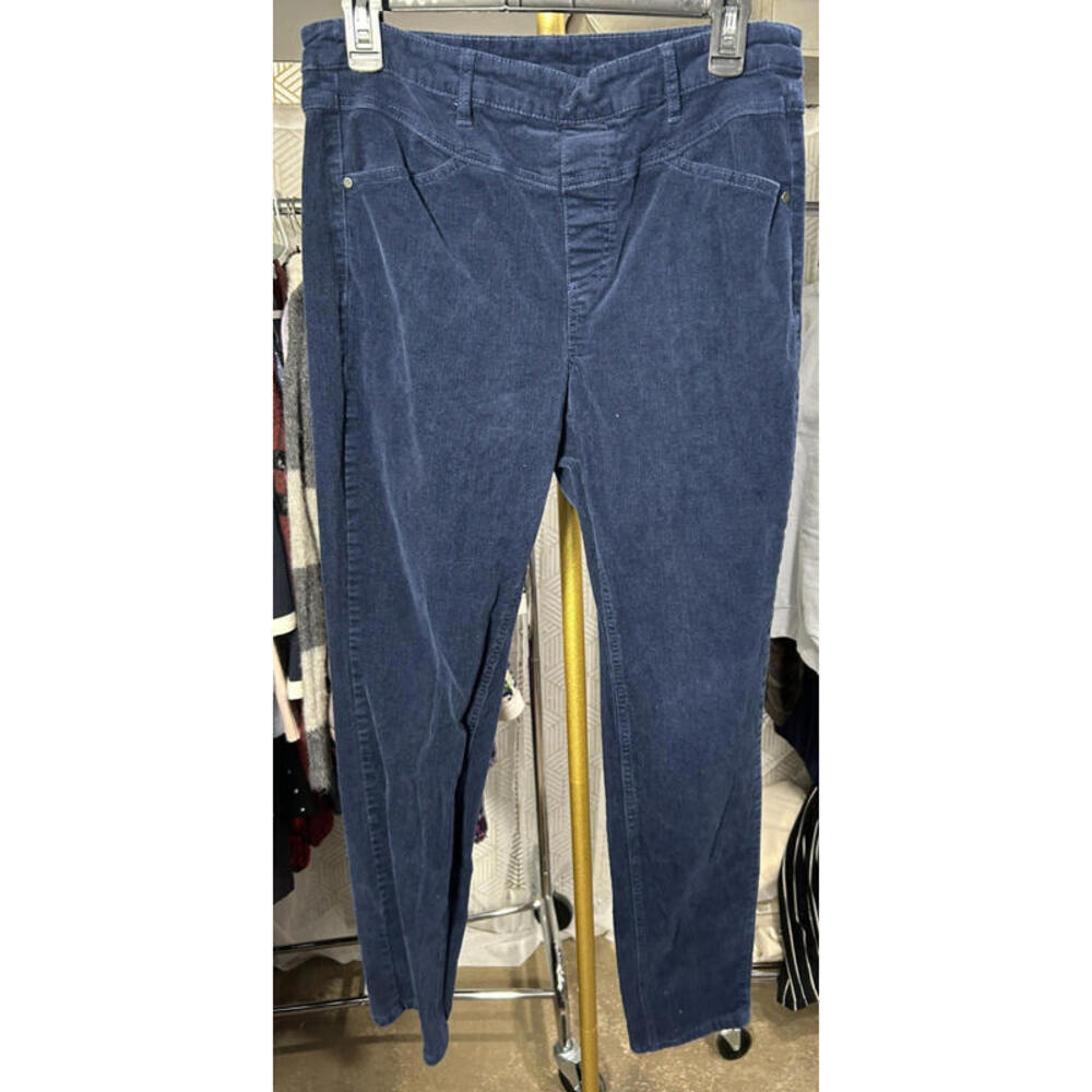 EUC Tribal Corduroy Pants Women Size 10 Blue Ankle Elastic Waist Stretch